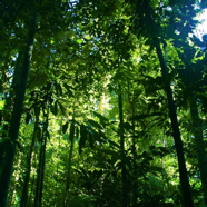 Biodiversity