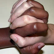 Diversity