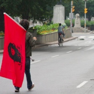 G20 Protester carrying Che Guevera flag