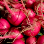 Beets!