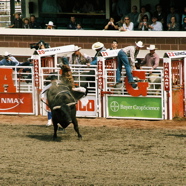 Calgary Stampede