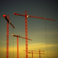 Cranes