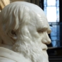 Happy Birthday, Mr. Darwin!
