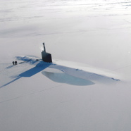 Arctic Sub