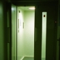 “Pain” and the “Torture Memos” 