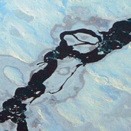 Arctic snow