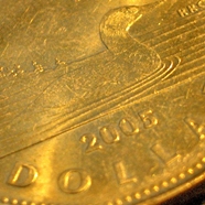 Pretty gold loonie