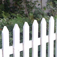 White Picket Fence
