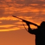 Tearing Down the Long-Gun Registry