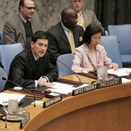 United Nations Security Council 