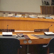 UN Security Council