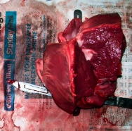 Human organs
