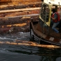 Old-Growth Depletion and the Coastal Forestry Crisis 
