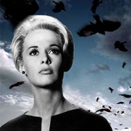 Alfred Hitchcock's The Birds