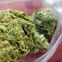 Decriminalize Marijuana Possession