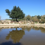 Canada Park in Israel