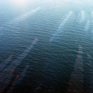 Gulf oil spill