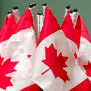Canadian flags