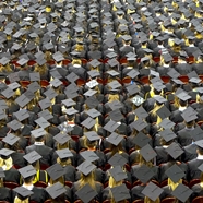 university