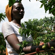 Rwanda