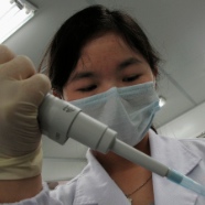 Human Genome