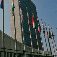 UN Flags