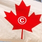 Getting Copyright Right