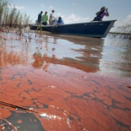 BP Oil Spill