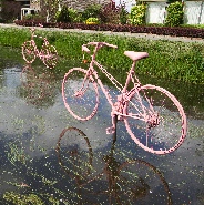 pink bikes on river