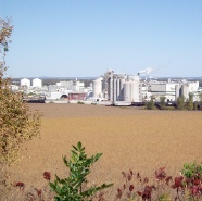 industrial agriculture