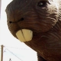 Leave the Beaver