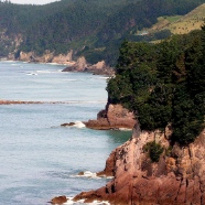 New Zealand