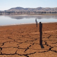 climate change