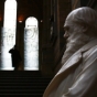 Why Evolution Matters
