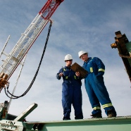 fossil fuels