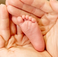 Win a Baby