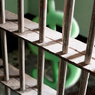 The Crime Bill