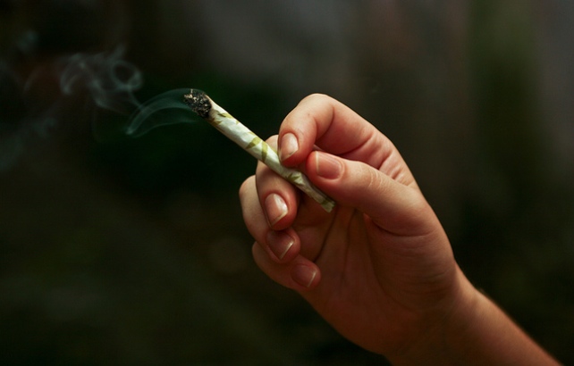 cannabis