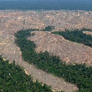 Ecosystem
