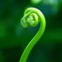 Conserving Knowledge
