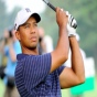 Is Tiger Out of the Woods?