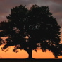 Nature: The Real Bottom Line
