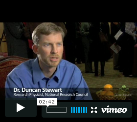 Video Image