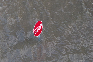 When Disaster Strikes