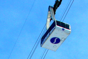 Take the Gondola To Work