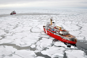 Who Should Decide the Arctic's Future