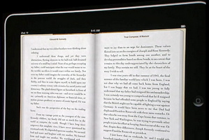 How Much Should an Ebook Cost?