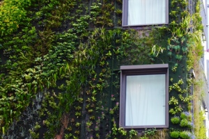 Earth Day: Living Green