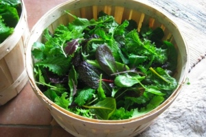 Eating Green