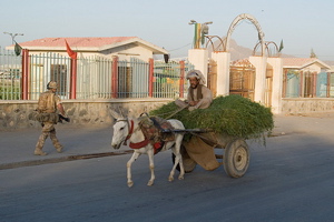 What Canada Can Do For Kandahar